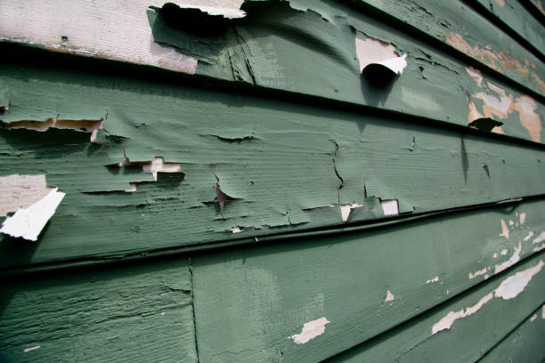 Best Garage Cleanout  in Oak Ridge, FL